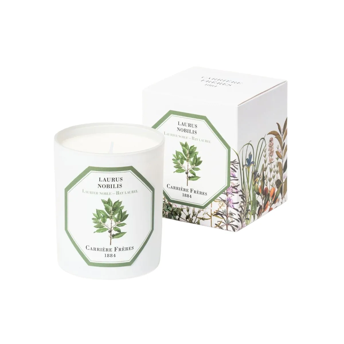 Scented Candle in Bay Laurel