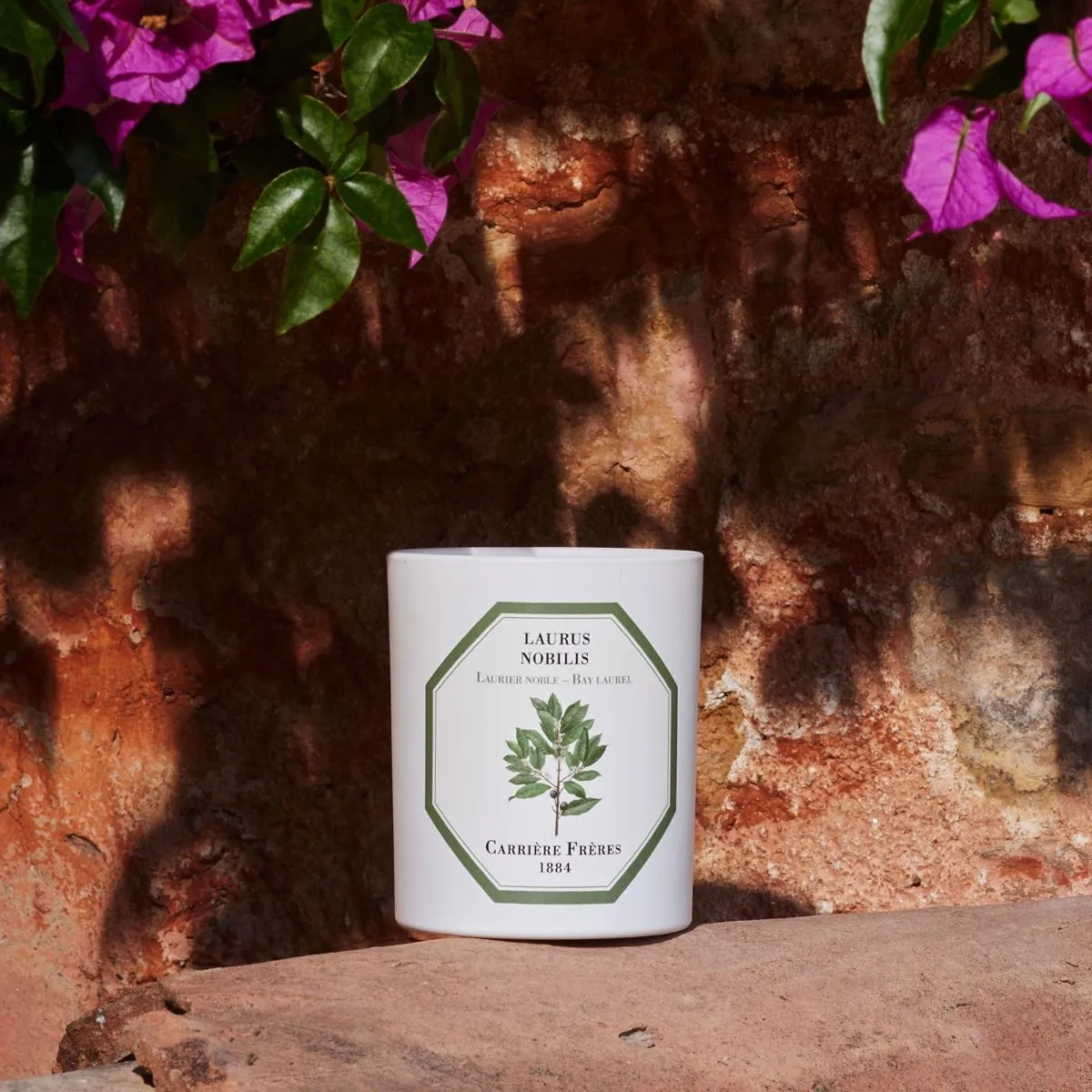 Scented Candle in Bay Laurel